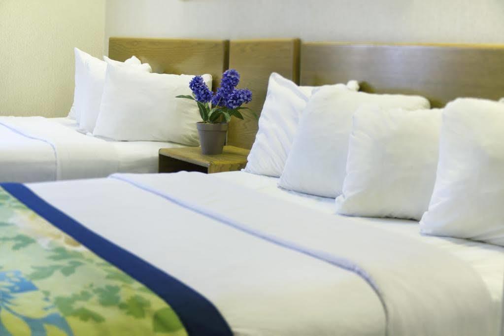 Hampton Inn & Suites-Asheville Biltmore Village, Nc Bagian luar foto